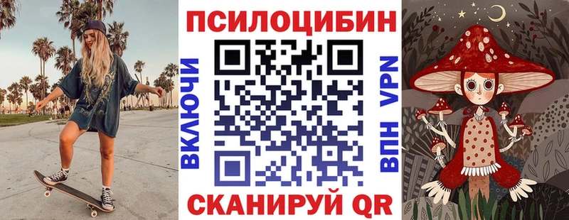 Купить закладки  Порхов  Псилоцибиновые грибы GOLDEN TEACHER 