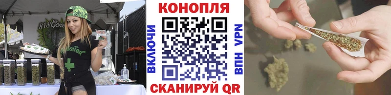 Купить где  Порхов  Каннабис сатива 